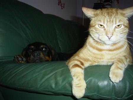 le regard de tueur