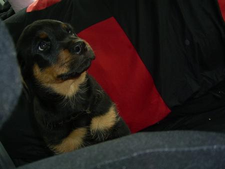2mois